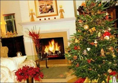 Comment appelle-t-on la priode prcdant Nol ?