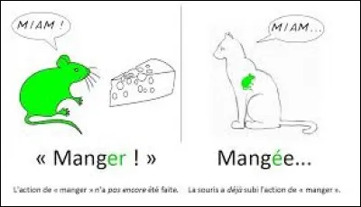 « Dissolu » est le participe passé du verbe « dissoudre ».