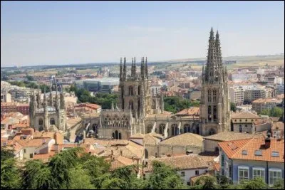 Cette ville espagnole, en Castille, connue pour sa grande cath&eacute;drale gothique, choisie comme capitale par Franco pendant la guerre d'Espagne, c'est :