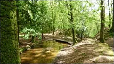 Dans lequel de ces endroits vous vous sentez le plus à l'aise ?