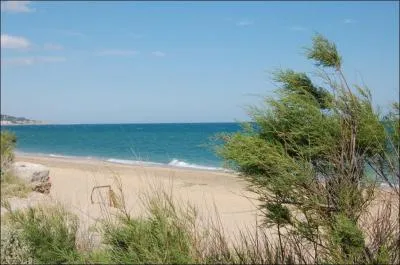 Quel artiste franais a crit 'Supplique pour tre enterr sur la plage de Ste' ?