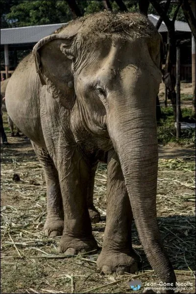 La ville d'Is-sur-Tille est située dans le département de...