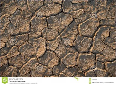 De quel département est originaire l'armagnac ?