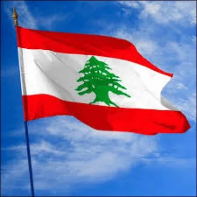 L'arbre sur le drapeau du Liban est un cèdre.