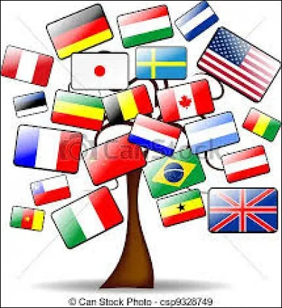 Le drapeau de la Croix Rouge se défini comme suit : une croix blanche sur fond rouge.