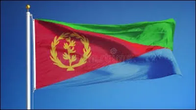 Vous pouvez voir sur le drapeau de l'Érythrée des branches de laurier.