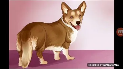 Dans quel épisode trouve-t-on cette illustration ?