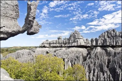 Dans quel pays se trouve le Parc national Tsingy de Bemaraha ?