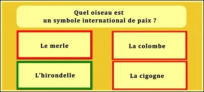 Faites le bon choix !