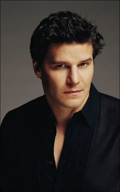 Qu'arrive-t-il à Ange pendant cette saison ?