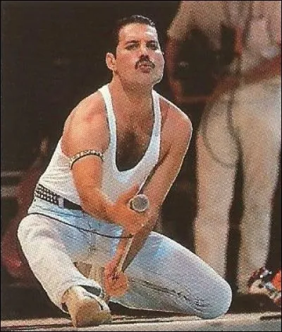 Qui était le leader du groupe "Queen" ?