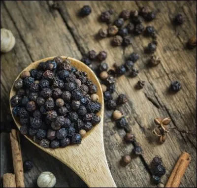Quel âge le poivre a-t-il aujourd'hui ?