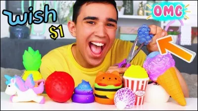 Qui a inventé les squishies ?