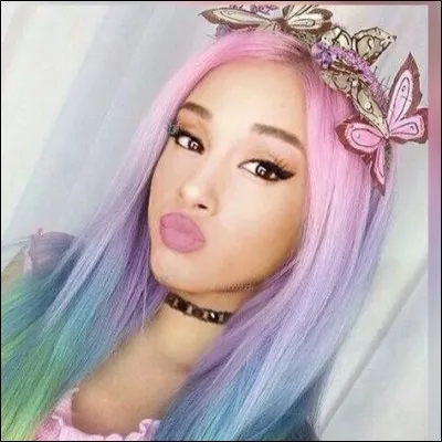 Quel régime fait-elle ?