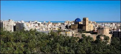 Cette ville espagnole de 220 000 habitants, dans la province d'Alicante, qui possède la plus grande palmeraie d'Europe, c'est :