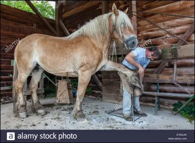Aimes-tu travailler ?