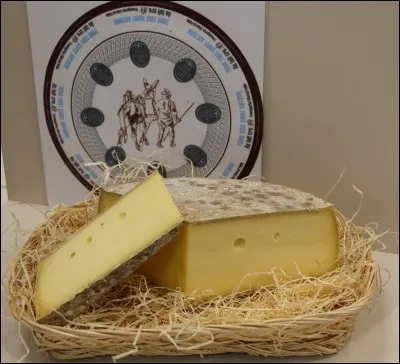 C'est un fromage au lait de vache originaire des montagnes jurassiques en région France-Comté.C'est :