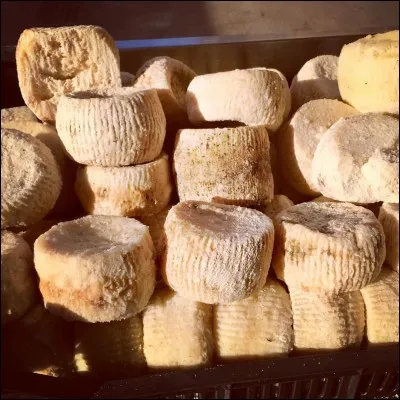 Parmi ces fromages, trois sont originaires de Belgique, un seul est italien. Lequel ?