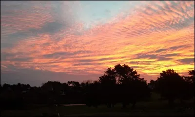 On lui doit "Les jardins du ciel". Qui est-ce ?