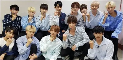 Qui est le maknae de SEVENTEEN ?