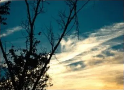 Laquelle de ces femmes a chanté "Sous le ciel de Paris " ?