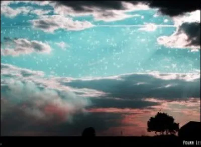 Cet homme a chanté "Les jardins du ciel". Qui est-ce ?