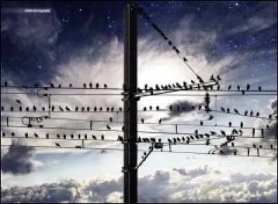 Cochez la femme ayant chanté "Les yeux au ciel" !