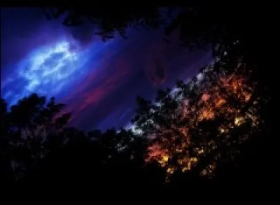 "Il était une fois" chantait :