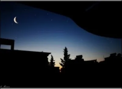 Que chantait Johnny ?