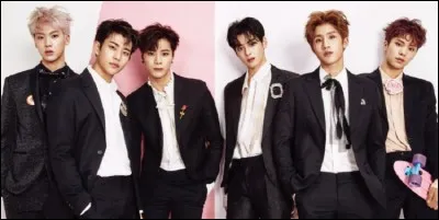 Quel membre est le "main vocalist" ?