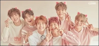 En quelle année Rocky est-il né ?