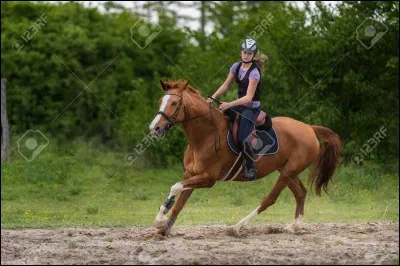 Aimes-tu travailler ?