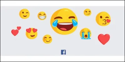 Quel est ton plus grand défaut ?