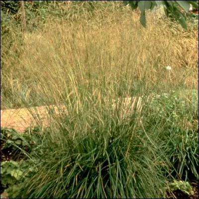 Quelle est son exposition idéale ?