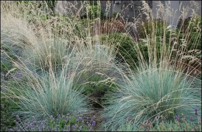 Quelle est son exposition idéale ?