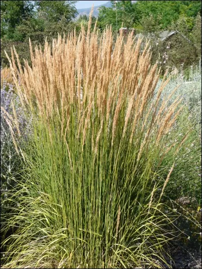 Quelle est son exposition ?