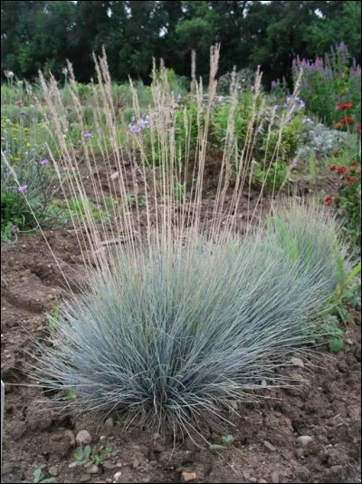 Quelle est son exposition idéale ?