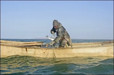 Entre quels pays asiatiques, la mer d'Aral qui ne cesse de diminuer depuis les années 60 se trouve-t-elle ?