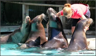 Qui est-ce ? (de gauche à droite)