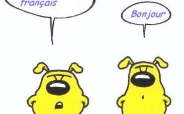 Quiz Orthographe