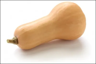 Qu'est-ce qu'une "Butternut" ?