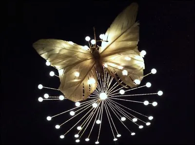 'Une route qu'on prend comme on reprend de l'air
Et les papillons retournent brûler leurs ailes
Pour toucher la lumière, pour énerver l'hiver
Pour un peu d'éphémère ...' De qui sont ces paroles ?