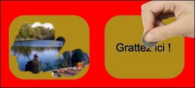 Quelle est la bonne réponse ?