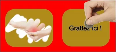 Quelle est la bonne réponse ?