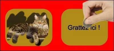 Quelle est la bonne réponse ?