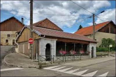 Ancienne commune de Bourgogne-Franche-Comté, Chasnans se situe dans le département ...