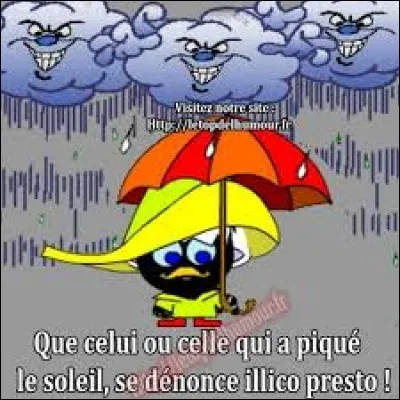 Plante proche du liseron, très répandue en Amérique du Nord, dont la racine est utilisée comme purgatif :