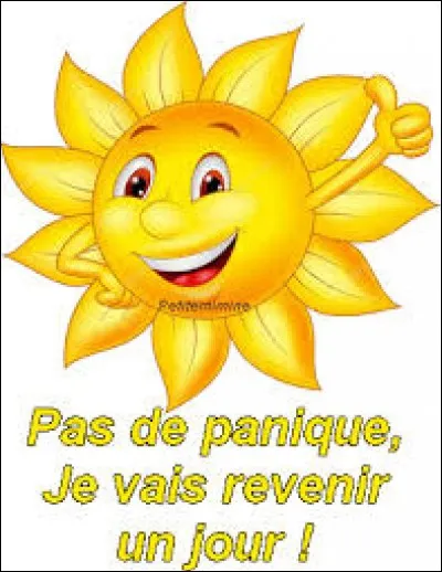 Porcelaine nippone :