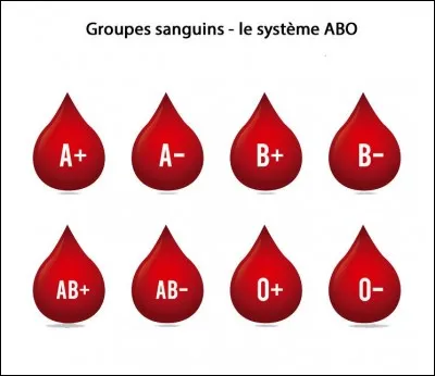 Ton groupe sanguin est...