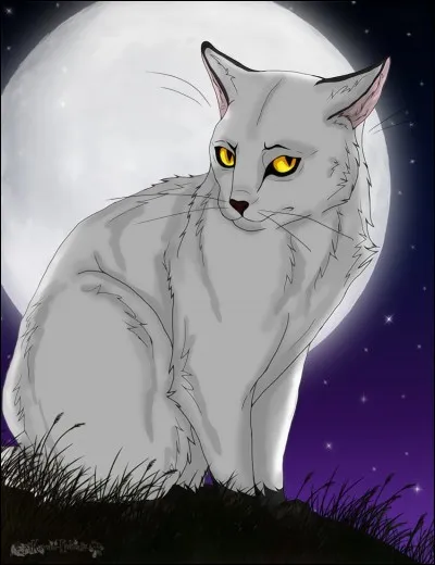 Qui est l'amoureuse de Flocon de Neige ?